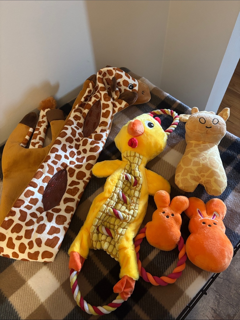 Plush Yellow Chicken Rope Dog Toy – Bright Chew & Tug Play